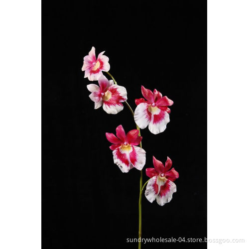 Phalaenopsis Spray